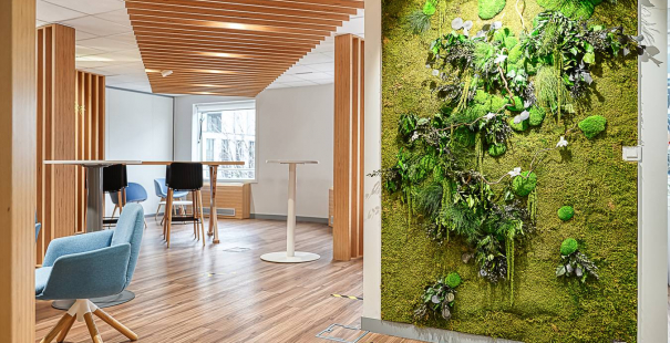 Aménagement bureaux d'entreprise végétalisés AG2R LA MONDIALE Levallois