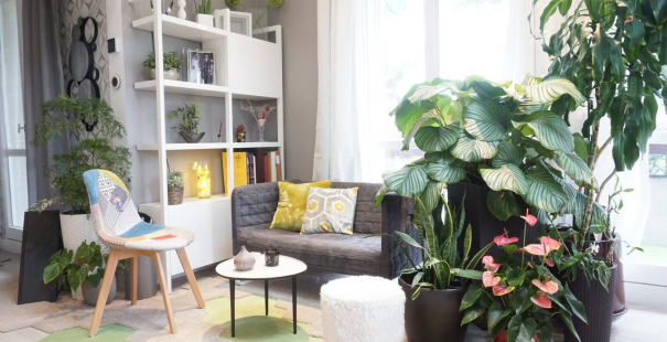 Rénovation totale d'un appartement à Louveciennes